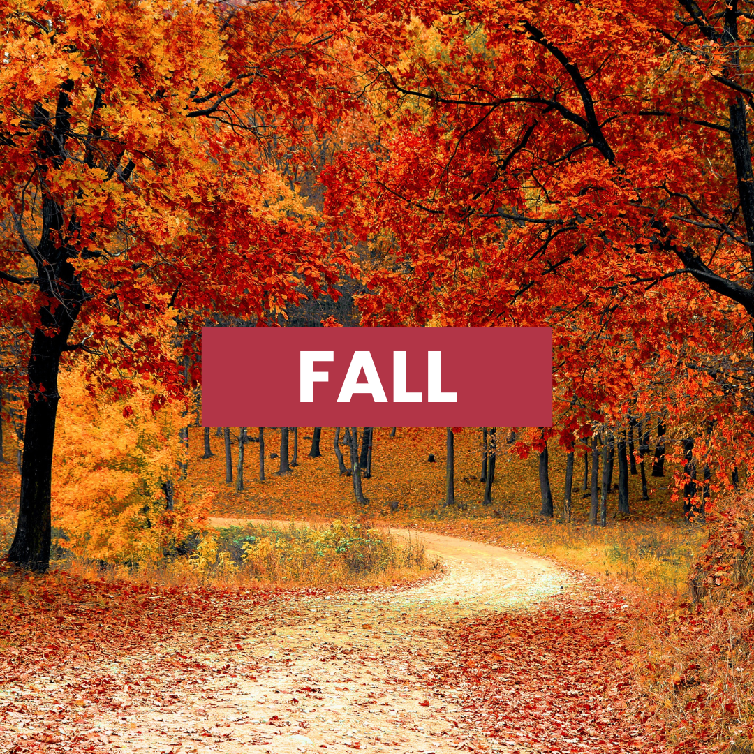 Fall